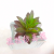 Artificial/Fake Flower Bonsai Cartoon TV Variety of Succulent Furnishings Ornaments