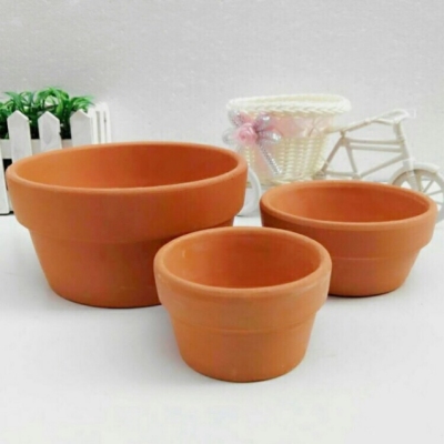 Plant Red Pottery Succulent Flower Pot Creative Ceramic Flowerpot Decoration Korean Succulent Flower Pot Ceramic Crafts