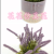 Artificial/Fake Flower Bonsai Ceramic Basin Lavender Furnishings Ornaments