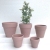 Macaron Colorful Red Pottery Flowerpot Factory Direct Sales Succulent Ceramic Creative Succulent Flowerpot