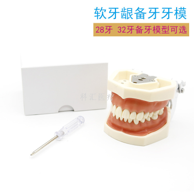 Oral Dental Tooth Model Tooth Preparation Practice Soft Gum Dental Cast Removable Oral Teaching Soft Gum