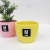 Simple High Temperature Colorful Succulent Ceramic Desktop Small Flower Pot Factory Direct Sales Ceramic Succulent Flowerpot Red Pottery Flowerpot