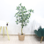 Nordic Indoor Living Room Floor Display Simulation Plant Potted Plastic Ivy Tree Bark Fulutong New Greenery Bonsai