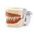 Oral Dental Tooth Model Tooth Preparation Practice Soft Gum Dental Cast Removable Oral Teaching Soft Gum