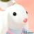 Korean Cartoon Bunny Long Eared Rabbit Plush Doll Schoolbag Pendant Keychain Rabbit Doll Gifts for Boys and Girls