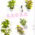 Artificial/Fake Flower Bonsai Ceramic Basin Green Plant Leaves Decoration Ornaments Dining Room/Living Room Desk, Etc.