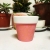 Creative Ceramic Succulent Flower Pot Wholesale Red Pottery Succulent Flower Pot Colorful Succulent Flower Pot Colorful