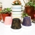 Creative Ceramic Succulent Flower Pot Wholesale Red Pottery Succulent Flower Pot Colorful Succulent Flower Pot Colorful