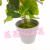 Artificial/Fake Flower Bonsai Plastic Basin Ginkgo Leaf Decoration Ornaments Living Room Dining Table, Etc.