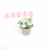 Artificial/Fake Flower Bonsai Colorful Ceramic Basin Big Flower Furnishings Ornaments Wedding Live Studio, Etc.