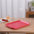 Commercial Food Tray Hotel Restaurant Tray School Canteen Thick Plastic Binaural Non-Slip Hamburger Restaurant Plate