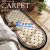 Shida Bedroom Carpet Master Bedroom Light Luxury Advanced Bedside Blanket Oval Floor Mat in Front of Bed Room Sleeping Cushion