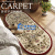 Shida Bedroom Carpet Master Bedroom Light Luxury Advanced Bedside Blanket Oval Floor Mat in Front of Bed Room Sleeping Cushion