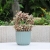 Factory Direct Supply Indoor Desktop Thickened Green Plant round Mouth Vertical Stripes Gardening Plastic Flower Pot Amazon Sales Basin Set