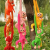 Gibbon Plush Toy Doll Big Lying Monkey Long Tail Home Hanging Decoration Curtain Buckle for Promotion Wholesale