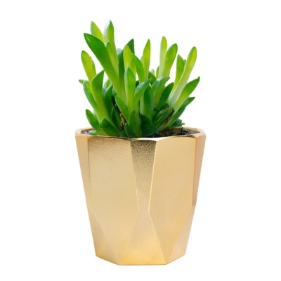 Factory Direct Supply Thickened Rectangular Surface Mini Succulent Imitation Porcelain Melamine Small Electroplating Flower Pot Metal Three-Color Hole Pot