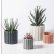 Northern European-Style Cement Flower Pot Matte Fashion Simple Artistic Personality Indoor Green Radish Bonsai Succulent Indoor Flower Pot