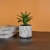 Durable Small round Mouth Pachira Macrocarpa Artificial Flower Universal Marble Pattern Straight Hole ABS Plastic Flower Pot