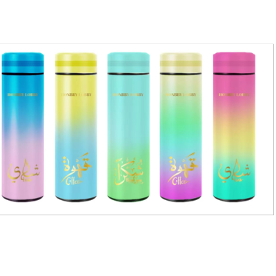 500ml Large Capacity Thermos Cup 304 Stainless Steel Cup With Temperature Display Wholesale Custom Logo Thermos Cup