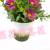 Artificial/Fake Flower Bonsai Small Chrysanthemum Living Room Bedroom and Other Tables Furnishings Ornaments