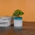 Factory Wholesale Artificial Flower Bottom Non-Hole Decorative Storage Succulent Pot Two-Color Spray Point Melamine round Straight Pot