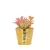 Imitation Porcelain Desktop Home Artificial Flower Gardening Electroplating Flower Pot Metal Color round Small Tree Skin Pattern Creative Succulents