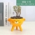 Direct Purchase Creative Individual Porcelain Cute Cartoon Succulent Plant Simple Small Desktop Household Animal Flower Pot