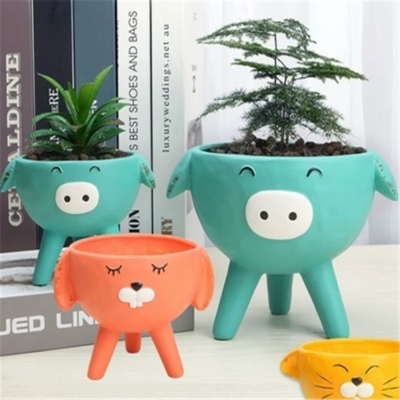 Direct Purchase Creative Individual Porcelain Cute Cartoon Succulent Plant Simple Small Desktop Household Animal Flower Pot