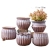 Succulent Flower Pot Stoneware Breathable Retro Old Pile Green Plant Meat Ceramic Small Pot Set Combination