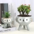 Direct Purchase Creative Individual Porcelain Cute Cartoon Succulent Plant Simple Small Desktop Household Animal Flower Pot