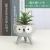 Direct Purchase Creative Individual Porcelain Cute Cartoon Succulent Plant Simple Small Desktop Household Animal Flower Pot