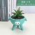 Direct Purchase Creative Individual Porcelain Cute Cartoon Succulent Plant Simple Small Desktop Household Animal Flower Pot