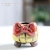 New Cute Cartoon Bowknot Succulent Flower Pot Ceramic Personality Creative Small Flower Pot Breathable Painted