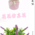 Artificial/Fake Flower Bonsai Candy Color Ceramic Basin Lavender Furnishings Ornaments