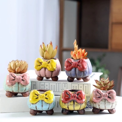 New Cute Cartoon Bowknot Succulent Flower Pot Ceramic Personality Creative Small Flower Pot Breathable Painted