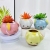 Cartoon Succulent Ceramic Flower Pot Green Plant Creative Personality Simplicity Indoor Cute Fresh Basin Wholesale Ceramic Basin Basin