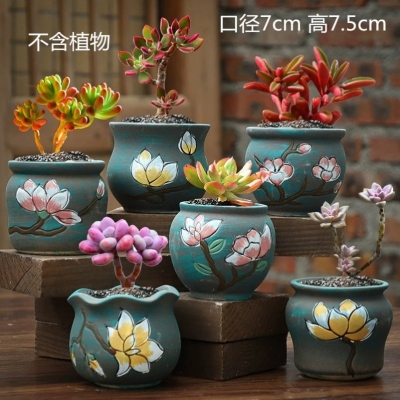 Korean Style Stoneware Medical Stone Succulent Flower Pot Simple Creative Personality Hand Painted Succulent Plant Small Flower Pot