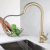Black Paint Sus304 Stainless Steel Kitchen Pullout Faucet Gold-Plated Brushed Stainless Steel Kitchen Faucet Glossy Faucet