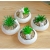 Factory Succulent Bonsai Creative Small Animal Meat Flower Pot Personality Simple Indoor White Porcelain Basin Ceramic Basin Device