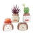 Creative Cartoon Animal Succulent Flower Pot Amazon Gardening Foreign Trade Owl Combination Ceramic Mini Pot Plant