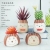 Creative Cartoon Animal Succulent Flower Pot Amazon Gardening Foreign Trade Owl Combination Ceramic Mini Pot Plant