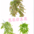 Artificial/Fake Flower Bonsai Greenery Wall Hanging Daily Use Ornaments Living Room Dining Room Bedroom, Etc.