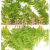 Artificial/Fake Flower Bonsai Greenery Wall Hanging Daily Use Ornaments Living Room Dining Room Bedroom, Etc.