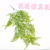 Artificial/Fake Flower Bonsai Greenery Wall Hanging Daily Use Ornaments Living Room Dining Room Bedroom, Etc.