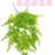 Artificial/Fake Flower Bonsai Greenery Wall Hanging Daily Use Ornaments Living Room Dining Room Bedroom, Etc.