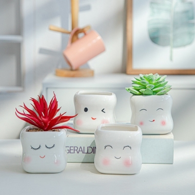 Factory Succulent Bonsai Creative Cute Smiley Face Succulent Flower Pot Personality Simple Indoor White Porcelain Basin Ceramic Basin