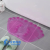Shida Bathroom Non-Slip Mat Bathroom Bath Floor Mat Shower Room Mat Foot Mat Bathroom Mat Factory Direct Sales