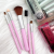 famola 5 pcs makeup brush set podwer brush eye brush factory direct sale