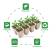 Pulp Seedling Cup/Degradable Pulp Cup/Nursery Basin/Seedling Tray/Seeding Tray