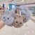 Autumn and Winter Children's Warm Fruit Cartoon Earmuff Baby Earmuffs Cute Ear Warmer Student Plush Earmuff Wholesale